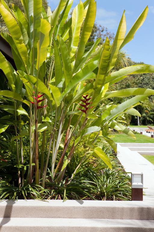 Qualia Hotel Insula Hamilton Exterior foto